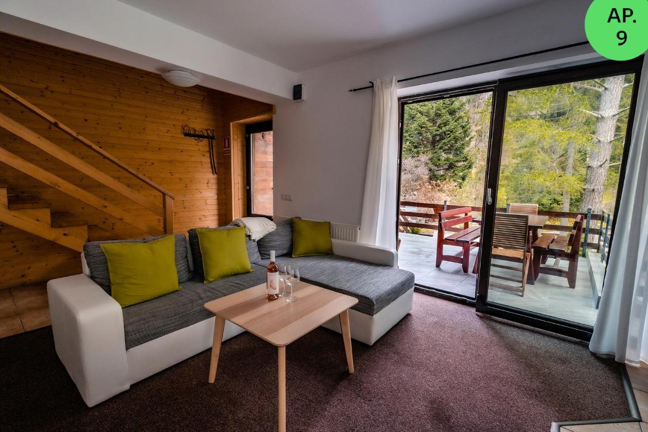 Panoramic Apartments - Montepalazzo Sinaia Kültér fotó